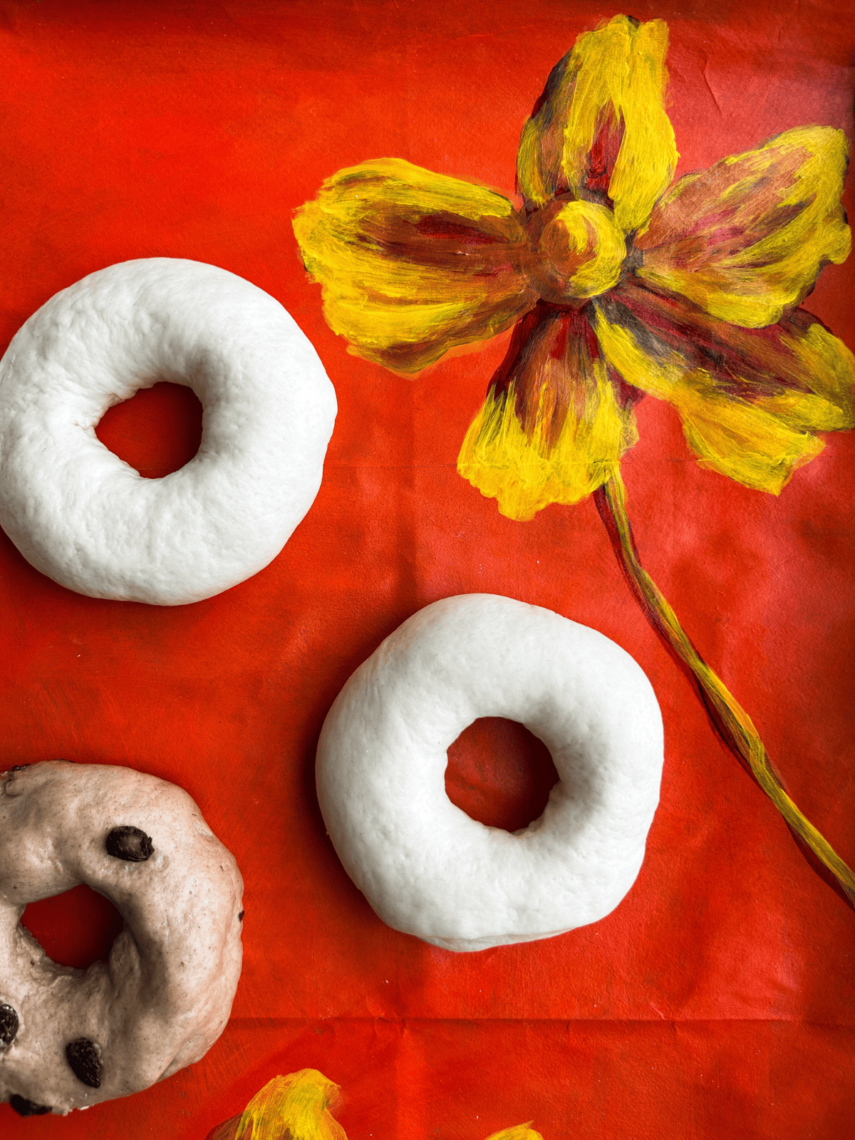 Can You Freeze Bagel Dough and Bagels? Here's How! Chelsey Gray